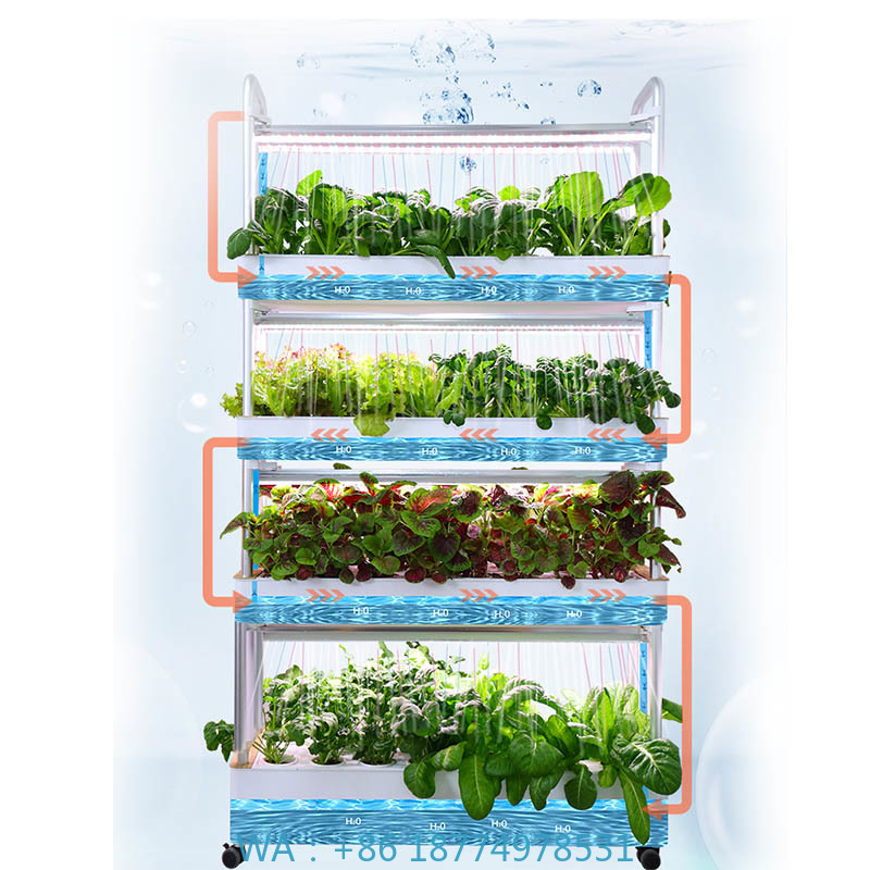 Sistema de plantación ydroponi - Home Automation Diy reseña y precio