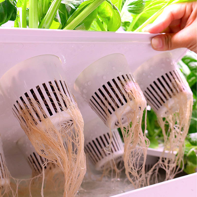 Sistema de plantación ydroponi - Home Automation Diy reseña y precio